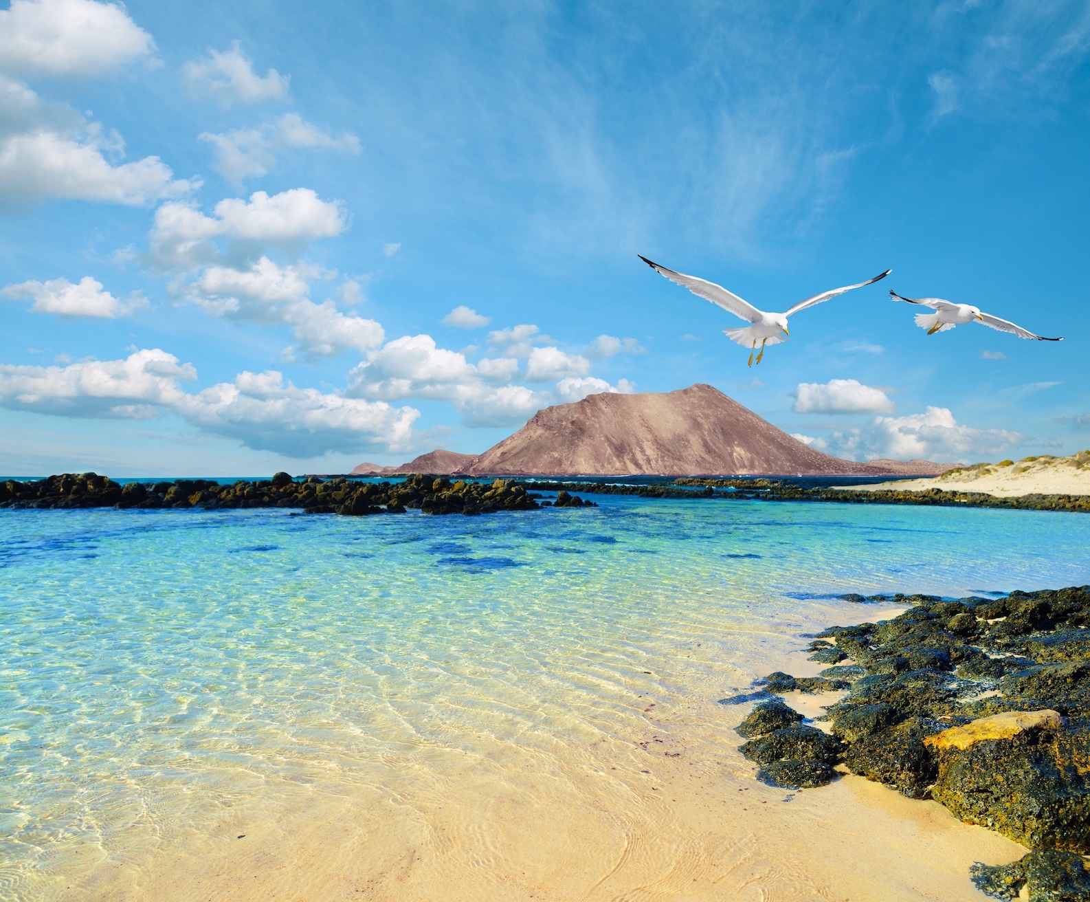 Fuerteventura